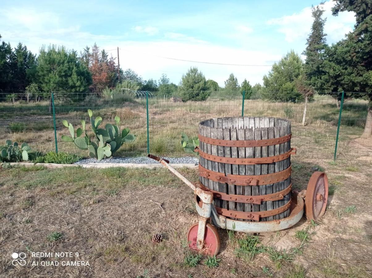Vacances Canal Du Midi Ouveillan エクステリア 写真